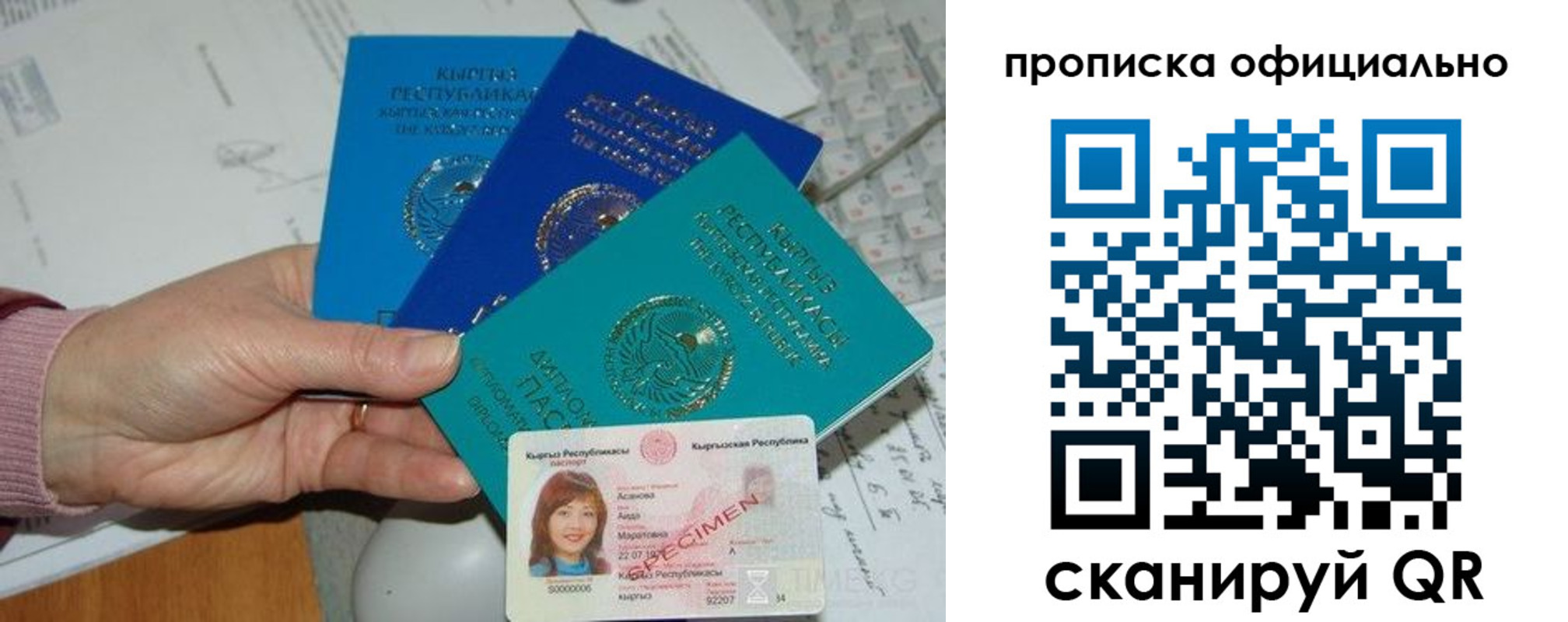 где прописаться в Тихорецке